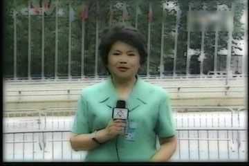 CCTV news reporter