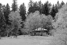 heidegger's hut