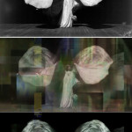 Figure 6: top, Frederick Glasier, Portrait of Loïe Fuller, 1902; bottom, stills from Dancing Glitch